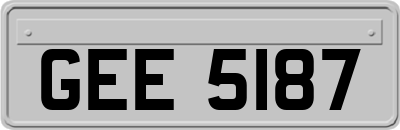 GEE5187