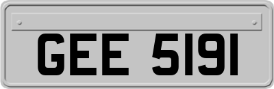 GEE5191