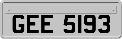 GEE5193