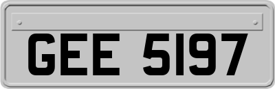 GEE5197