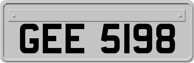 GEE5198
