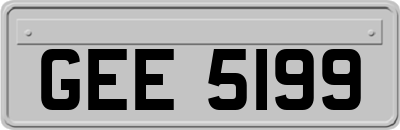 GEE5199