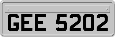 GEE5202