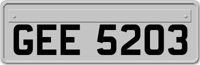 GEE5203