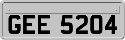 GEE5204