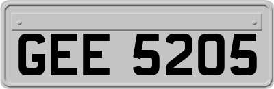 GEE5205