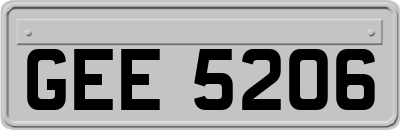 GEE5206