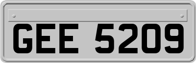 GEE5209