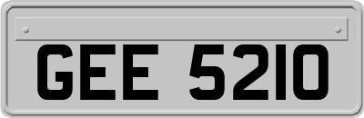 GEE5210