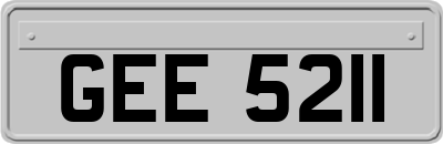 GEE5211