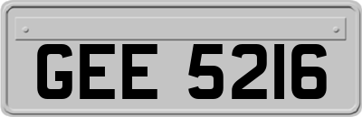 GEE5216