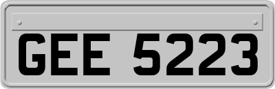 GEE5223