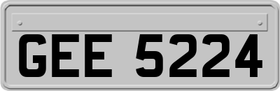 GEE5224