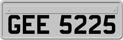 GEE5225