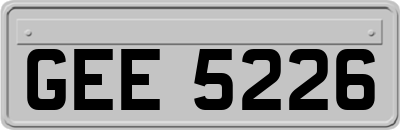 GEE5226