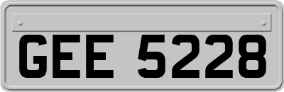 GEE5228