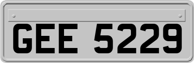 GEE5229
