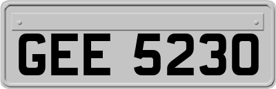 GEE5230