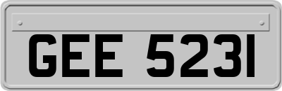 GEE5231