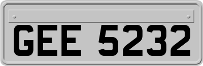 GEE5232