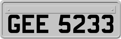 GEE5233