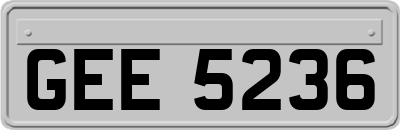 GEE5236