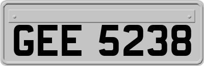 GEE5238