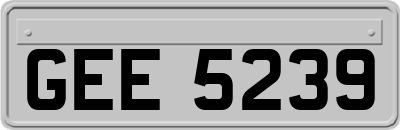 GEE5239