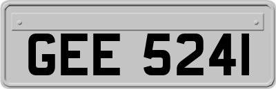 GEE5241