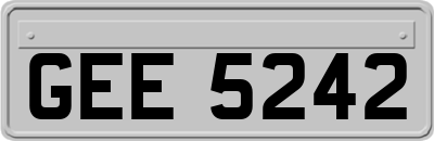 GEE5242