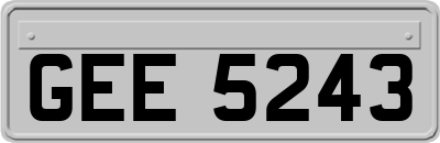GEE5243