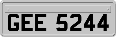 GEE5244