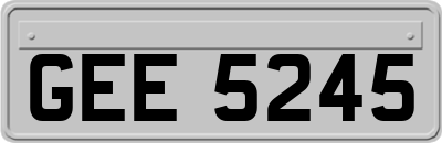 GEE5245