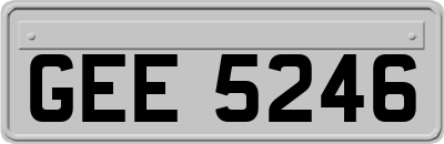 GEE5246