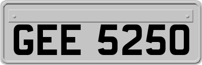 GEE5250