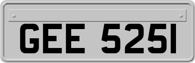 GEE5251