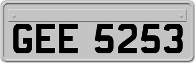 GEE5253