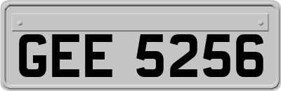 GEE5256