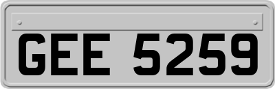 GEE5259