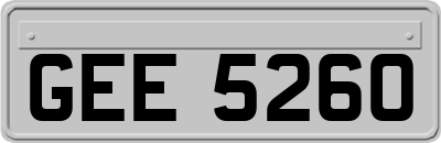 GEE5260