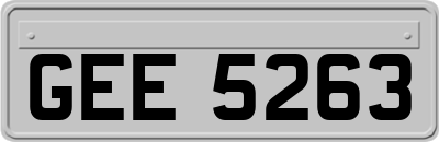 GEE5263