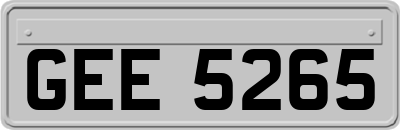 GEE5265