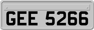 GEE5266