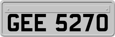 GEE5270