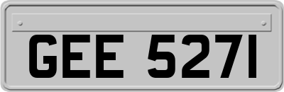 GEE5271