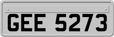 GEE5273