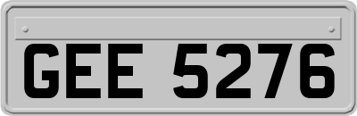 GEE5276