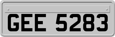GEE5283