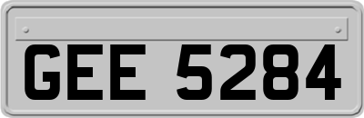GEE5284