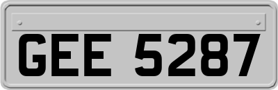 GEE5287